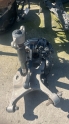 VOLVO S60 SOL ARKA TAŞIYICI KOMPLE OTO FEDAİ
