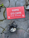 KİA SORENTO MAZOT POMPASI 0445010101