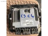 C4 motor beyni