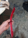 Oto Çıkma Parça / Kaporta & Karoser / Tampon Reflektörü / Volkswagen / Caddy / Çıkma Parça 