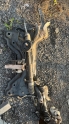 Ds 4 beşik