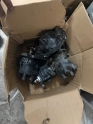 Oto Çıkma Parça / Ateşleme & Yakıt / Distribütör / Toyota / Corolla / Çıkma Parça 