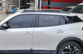 2023 Peugeot 2008 KAPI CAMLARI