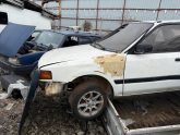 Oto Çıkma Parça / Kaporta & Karoser / Kapı / Mazda / MPV / Çıkma Parça 