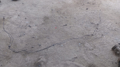Skoda Octavia 2021 arka fren rekorları