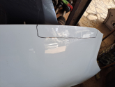 Ford puma kaput