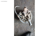 Oto Çıkma Parça / Kaporta & Karoser / Arka Tampon / Mazda / Lantis / Çıkma Parça 