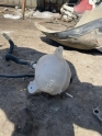 HYUNDAI TUCSON YEDEK SU DEPOSU KONUKOTO
