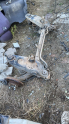 Fiat tempra arka dingil