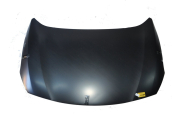FLUENCE MOTOR KAPUTU (EAGLEBODY) 10-> 651002244R