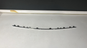 MERCEDES EQE W295 ÖN TAMPON NİKELAJI 2958858901