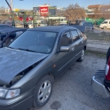 Primera P11 Can düğmesi