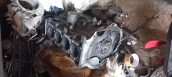 Oto Çıkma Parça / Motor / Blok / Mazda / 3 / Çıkma Parça 