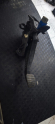 DACİA SANDERO STEPWAY 2015 PEDAL