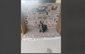 Honda euro cıvıc distribütör komple ies 1.41.6 1996-2000