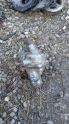 Tata telcoline termostat gövde yedek parça