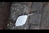 Renault Clio 5 ön tampon çeki demiri kapağı