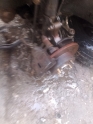 Oto Çıkma Parça / Alt Takım & Direksiyon / Taşıyıcı / Geely / Echo / Çıkma Parça 
