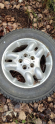 Freelander çıkma orjinal jant
