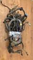 Renault clio 2 çıkma 1.4 8v motor tesisatı