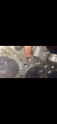Oto Çıkma Parça / Motor / Silindir Kapağı / Nissan / Maxima / Çıkma Parça 
