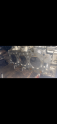Oto Çıkma Parça / Motor / Silindir Kapağı / Nissan / Maxima / Çıkma Parça 