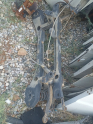 Ford focus Arka dingil 1 kasa