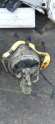 RENAULT SYMBOL WESTINGHOUSE