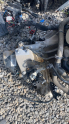 Oto Çıkma Parça / Motor / Motor Komple / Renault / Megane / Çıkma Parça 