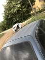 Toyota 101 Tavan STW