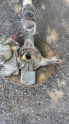 opel astra h sağ ön taşıyıcı