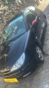 Oto Çıkma Parça / Kaporta & Karoser / Kapı Camları / Peugeot / 206 / Çıkma Parça 