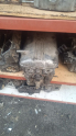 BMW E30 SİLİNDİR KAPAGİ