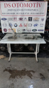 Oto Çıkma Parça / Alt Takım & Direksiyon / Direksiyon Kutusu / Ford / Transit / Çıkma Parça 