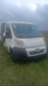 Pejo ducato komple janziman