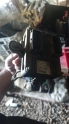 Fiat panda beyin