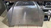 CHERY TİGGO ÖN KAPUT
