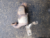 Oto Çıkma Parça / Egzoz / Katalitik Konvertör / Renault / Megane / Çıkma Parça 