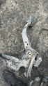 SEAT LEON PEDAL KONUK OTO