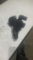AUDİ A4 A5 A6 Q5 TERMOSTAT KÜTÜĞÜ