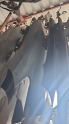 OPEL CORSA D SAG ÖN ÇAMURLUK.OTO ERKAN ÜNYE