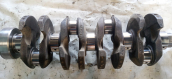 Ford 1.4 focus benzinli Krank