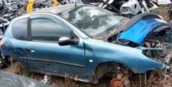 Peugeot 206 mazot filtresi