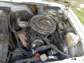 FORD TANUS 2.0 MOTOR ŞANZIMAN