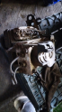 Toyota Yaris ABS Beyni 89541-52031 44510-52190