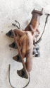 Oto Çıkma Parça / Motor / Turbo / Kia / Bongo / Çıkma Parça 
