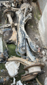 OPEL VECTRA B DİNGİL
