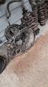 CHEVROLET REZZO MANUEL ŞANZIMAN.OTO ERKAN ÜNYE