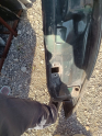 Oto Çıkma Parça / Kaporta & Karoser / Kapı / Opel / Astra / Çıkma Parça 