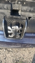 Peugeot 406 aslan armasi